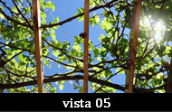 pagina%20en%20construccion037008.jpg